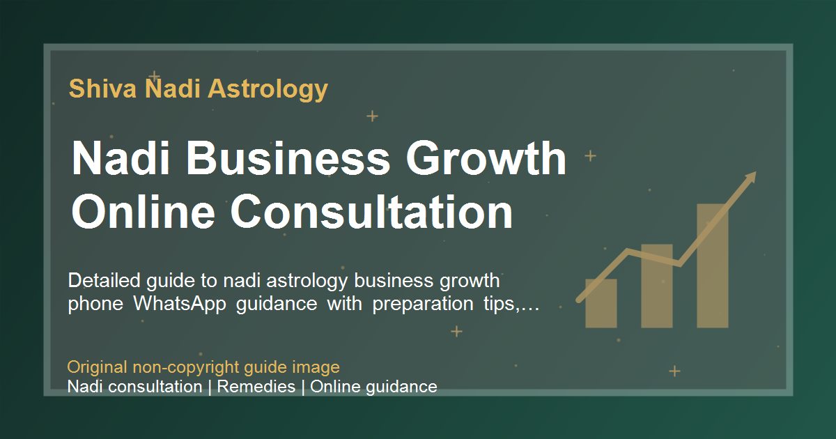 Nadi Business Growth Online Consultation guide image