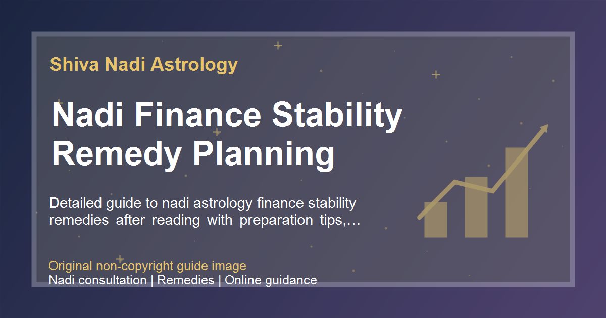 Nadi Finance Stability Remedy Planning guide image